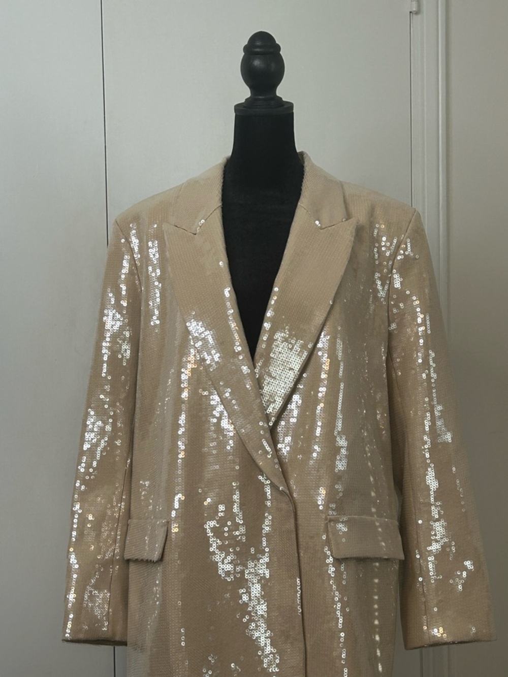 H&M Beige Sequin Blazer Jacket